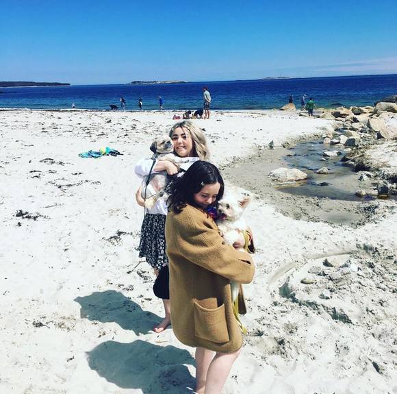 Meet your Posher, Sophia - Picture 1 of 1